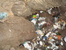 dsc03255